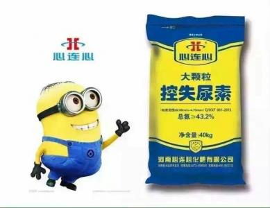 大顆?？厥蛩? border=